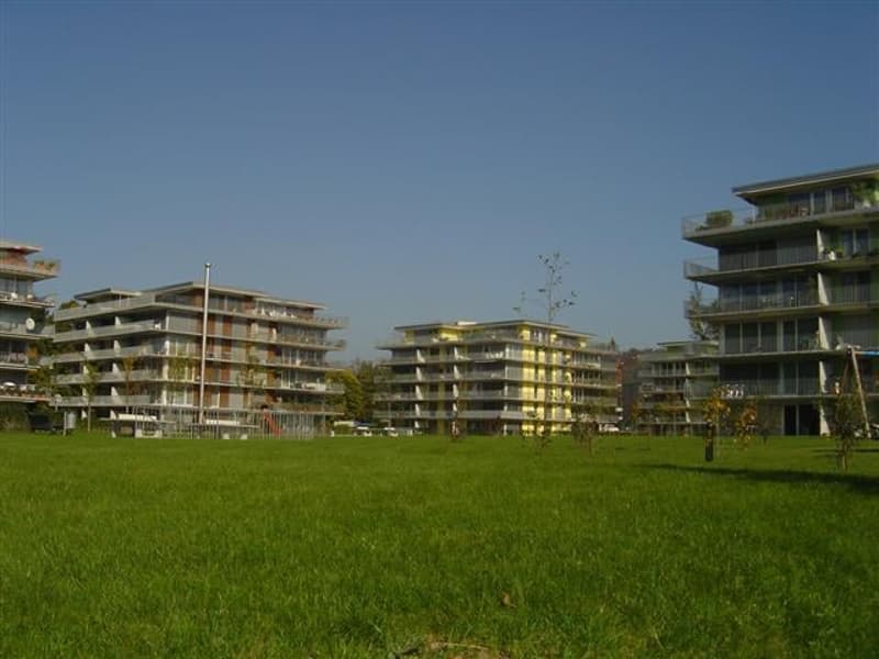 Helle 5-Zimmer-Wohnung mit grossem Balkon in Winterthur-Wülflingen (1)
