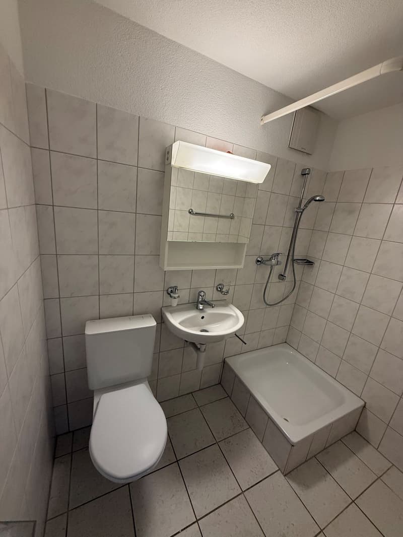 Helle 5-Zimmer-Wohnung mit grossem Balkon in Winterthur-Wülflingen (3)