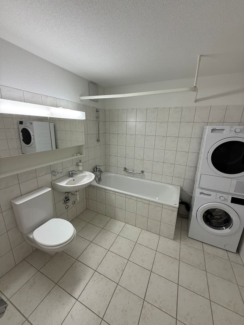 Grosszügige 3.5-Zimmer-Wohnung (3)