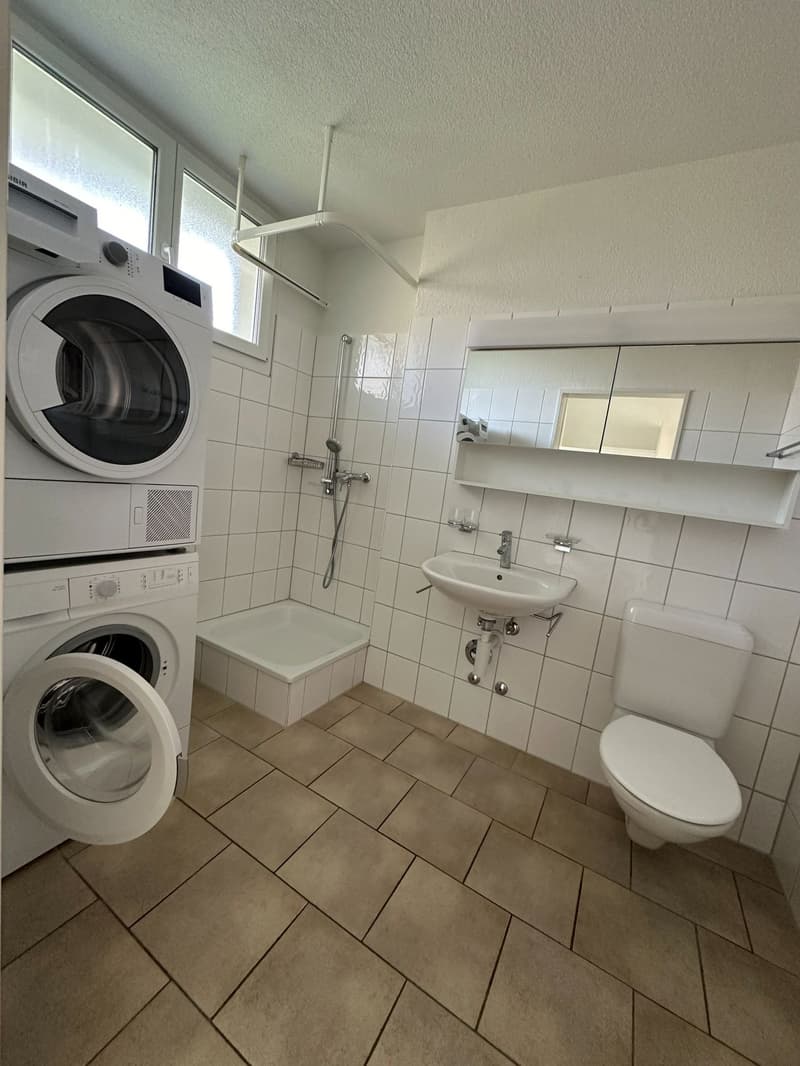 Moderne 1-Zimmer-Wohnungen mit Sitzplatz in Winterthur (3)