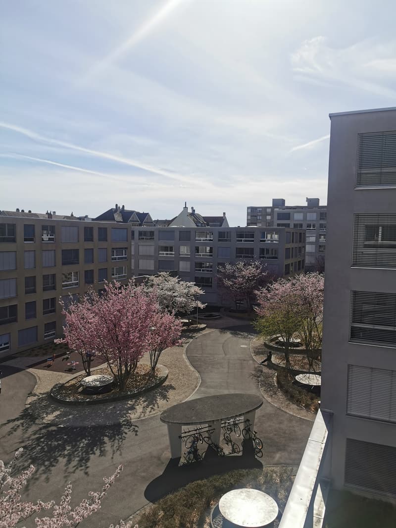 Modernes Loft-Apartment im Erdgeschoss in Biel – sofort verfügbar (1)