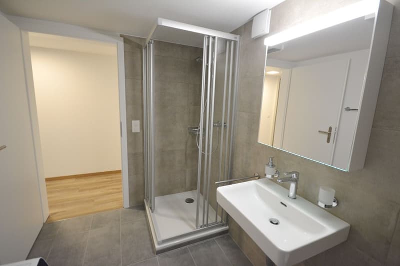 Ruhige 2.5-Zimmer-Wohnung im Untergeschoss in Aarburg – sofort verfügbar! (7)