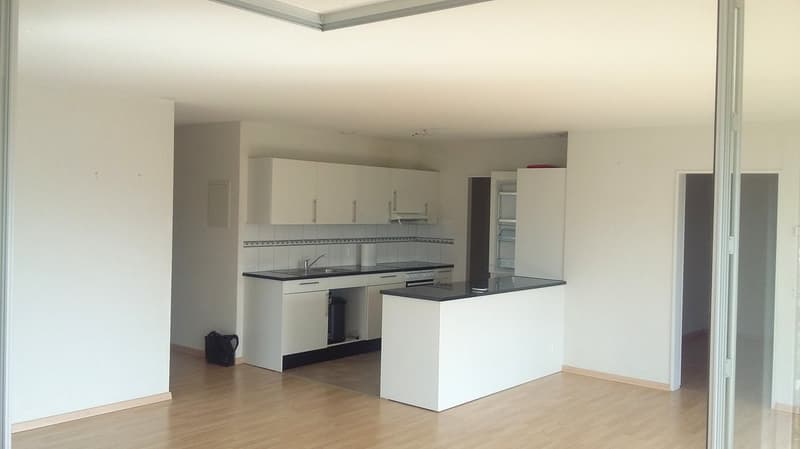 Moderne und grosszügige 4.5-Zimmerwohnung im 6.OG mit Wintergarten (4)