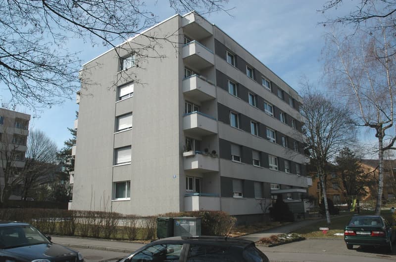 Einstellhallenplatz zur Miete in Zürich-Albisrieden (1)