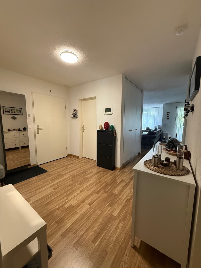 Helle 3.5-Zimmer-Wohnung in Uster (12)