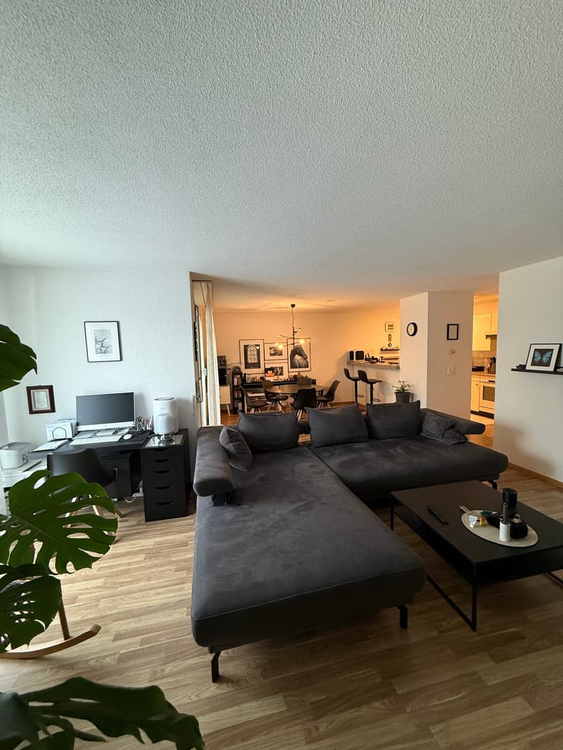 Helle 3.5-Zimmer-Wohnung in Uster (3)