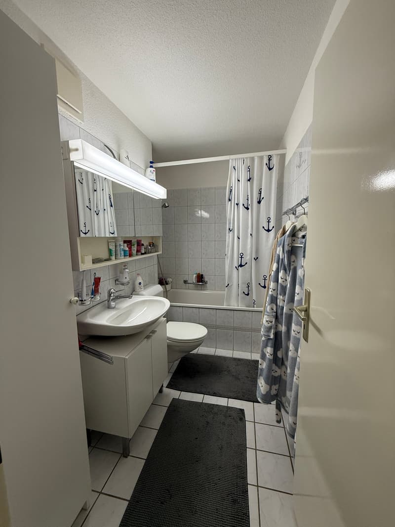 Helle 3.5-Zimmer-Wohnung in Uster (10)