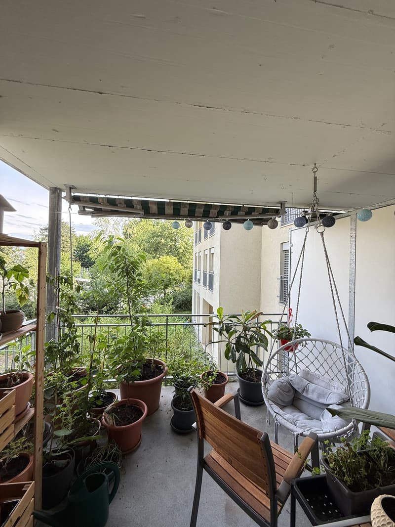 Helle 3.5-Zimmer-Wohnung in Uster (14)