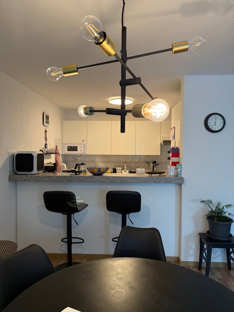 Helle 3.5-Zimmer-Wohnung in Uster (9)