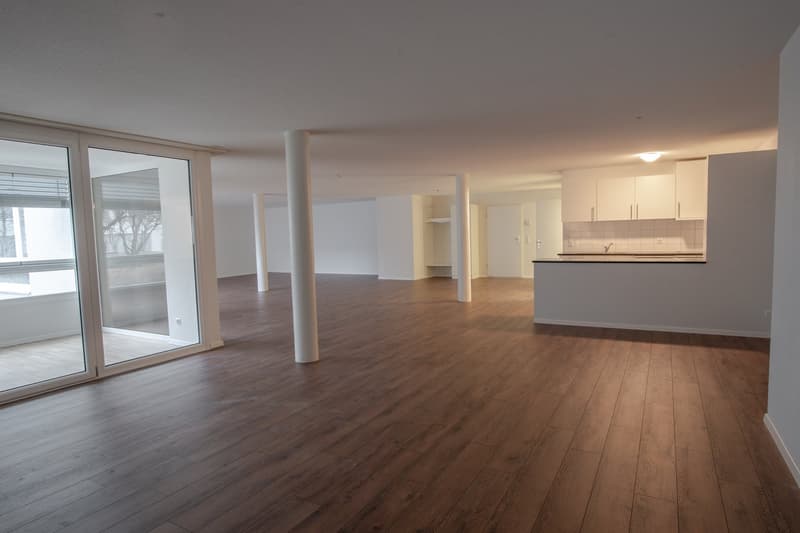 Modernes Loft-Apartment an der Mattenstrasse in Biel (3)