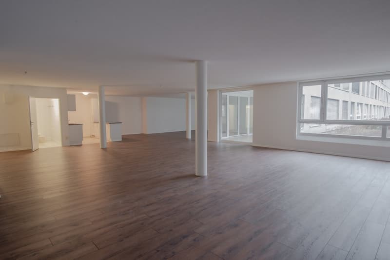 Modernes Loft-Apartment an der Mattenstrasse in Biel (2)