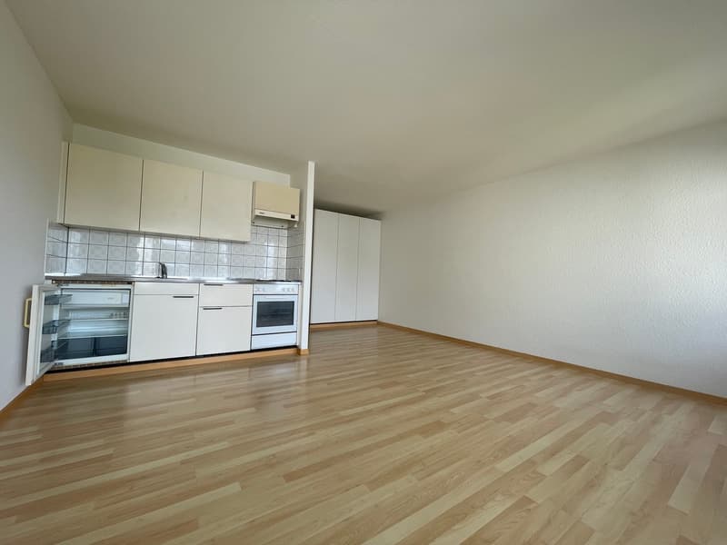 1.5-Zimmer-Attikawohnung mit Terrasse in Oetwil an der Limmat (3)