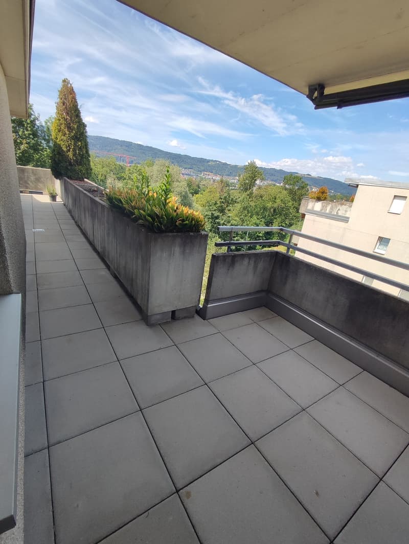 1.5-Zimmer-Attikawohnung mit Terrasse in Oetwil an der Limmat (8)