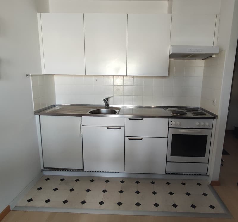 1.5-Zimmer-Attikawohnung mit Terrasse in Oetwil an der Limmat (4)