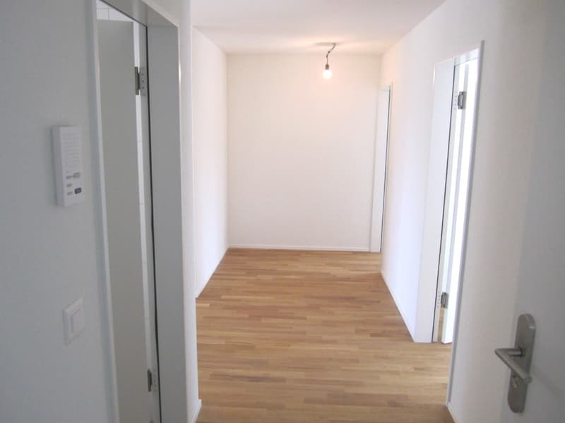 Helle 4.5-Zimmer-Wohnung mit grossem Balkon in Sarmenstorf (9)
