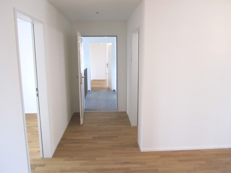 Helle 4.5-Zimmer-Wohnung mit grossem Balkon in Sarmenstorf (8)