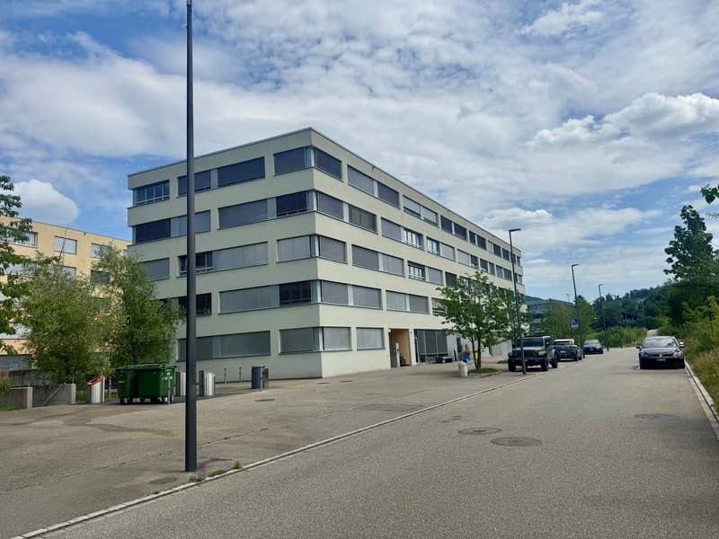 Ein glücklicher Wohnungsstart (1)