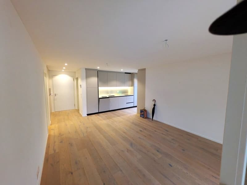 Helle, neue luxuriöse 2½ Zimmer Wohnung (H2) EG mit grossem Sitzplatz (4)