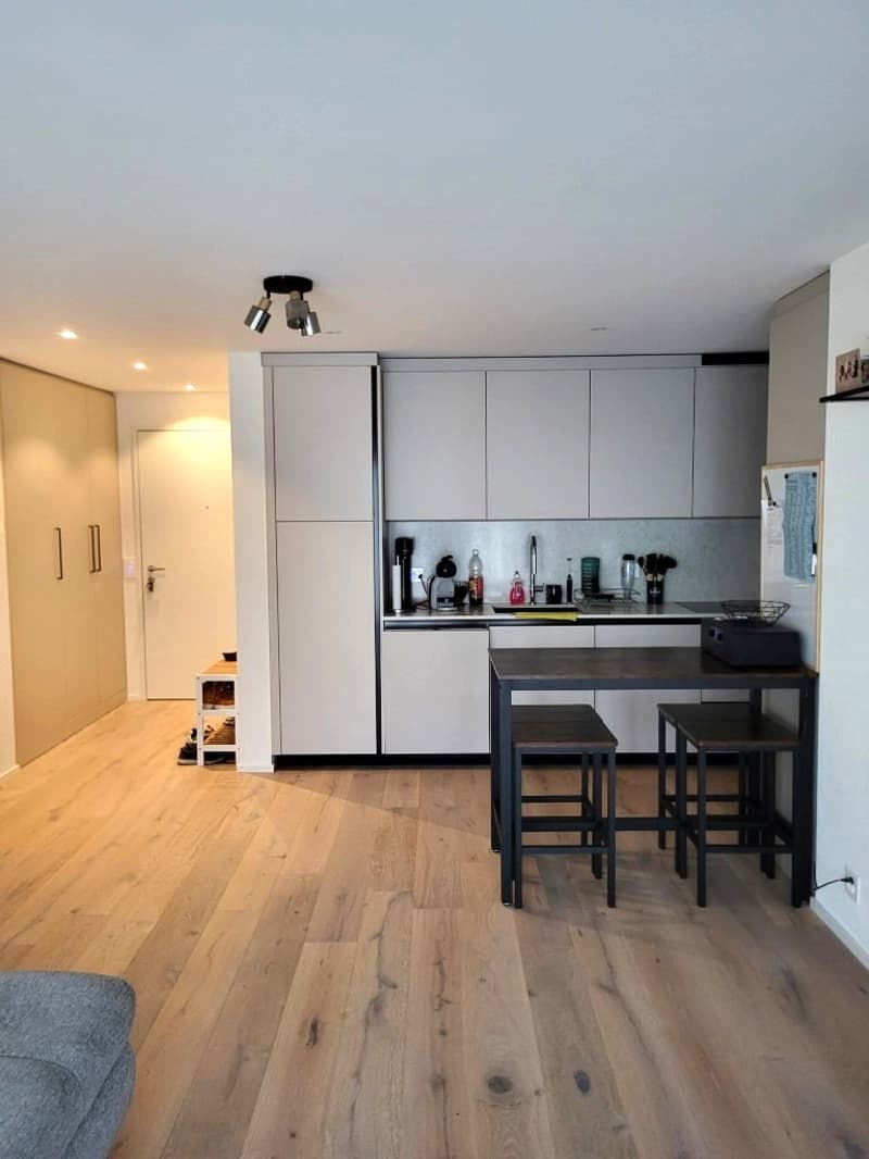 Helle, neue luxuriöse 2½ Zimmer Wohnung (H2) EG mit grossem Sitzplatz (8)