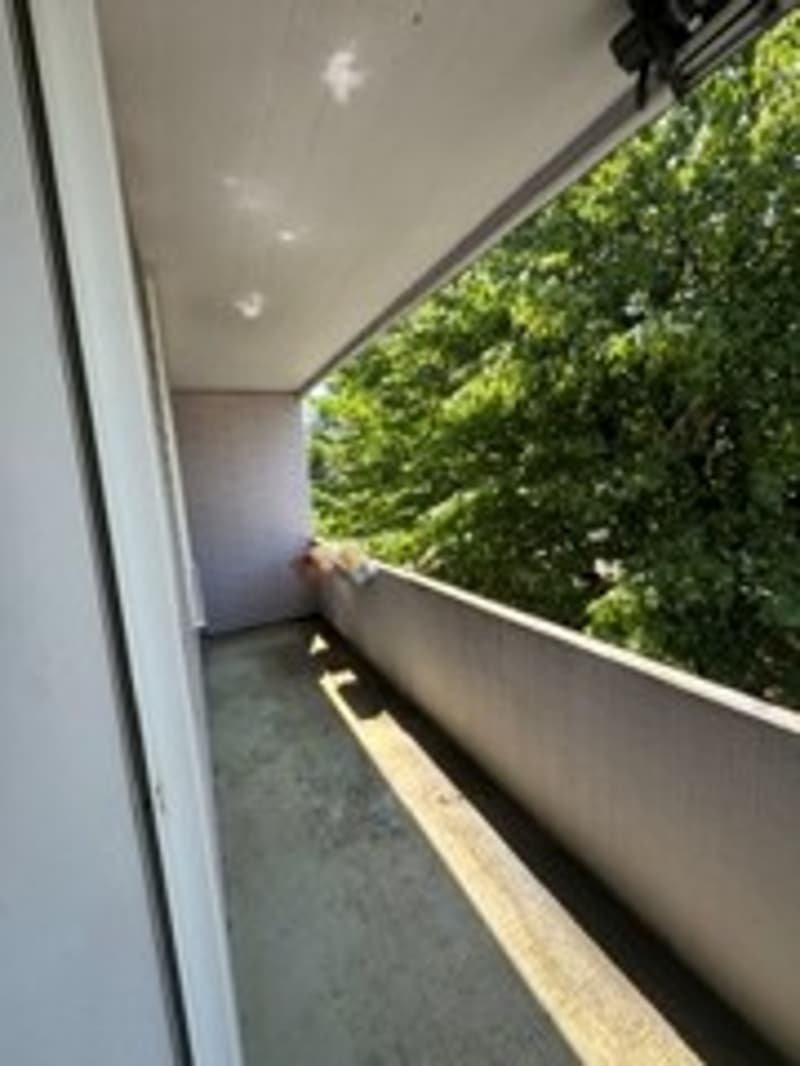 Helle 4-Zimmer-Wohnung mit Balkon und Grünblick in Hinwil (5)