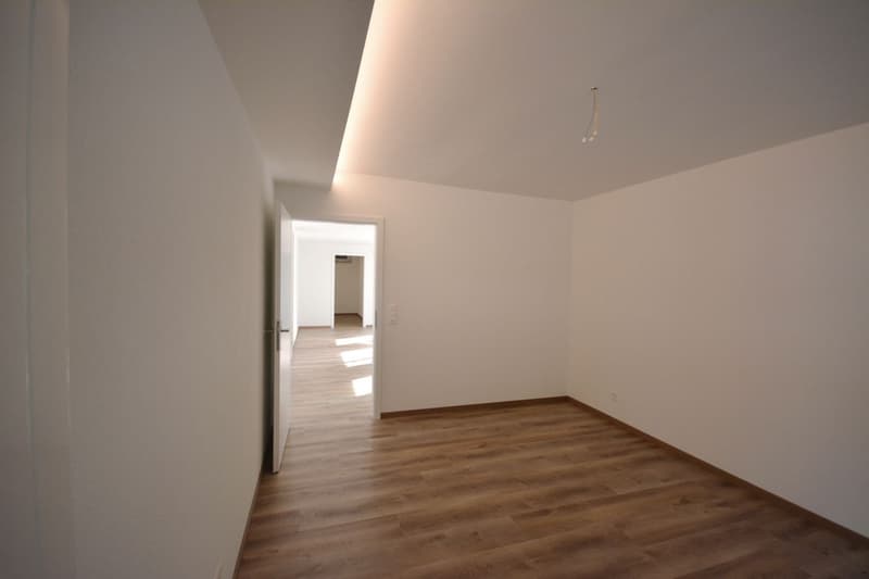 Tolle 2.5-Zimmer-Soussol-Wohnung in Villa in Aarburg (5)