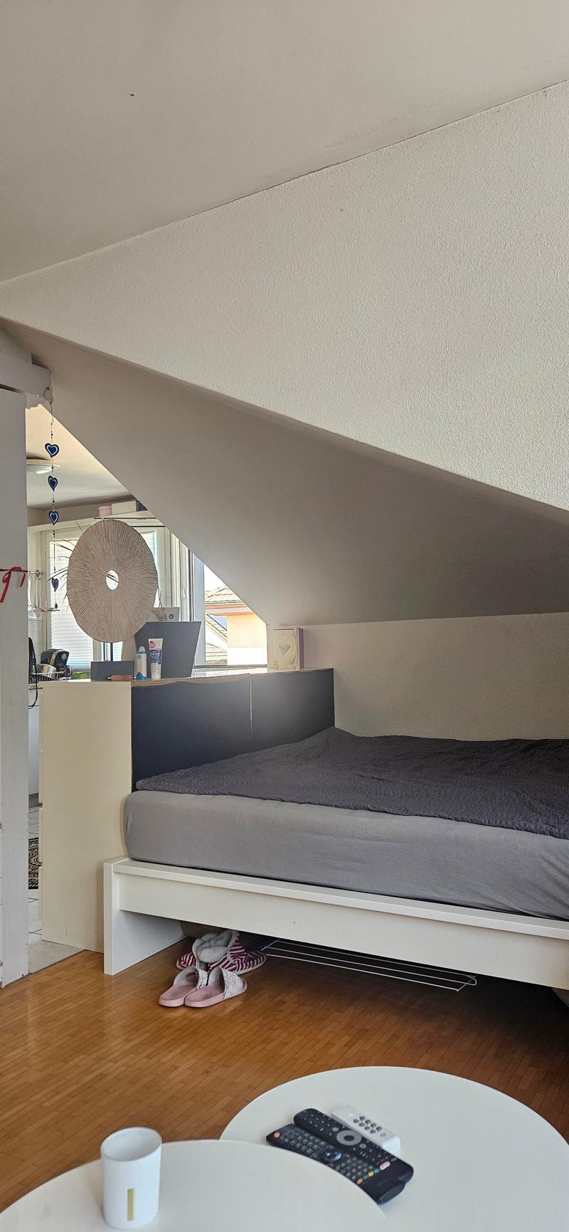 Helle und geräumige 1.5-Zimmer-Wohnung in St. Gallen (6)