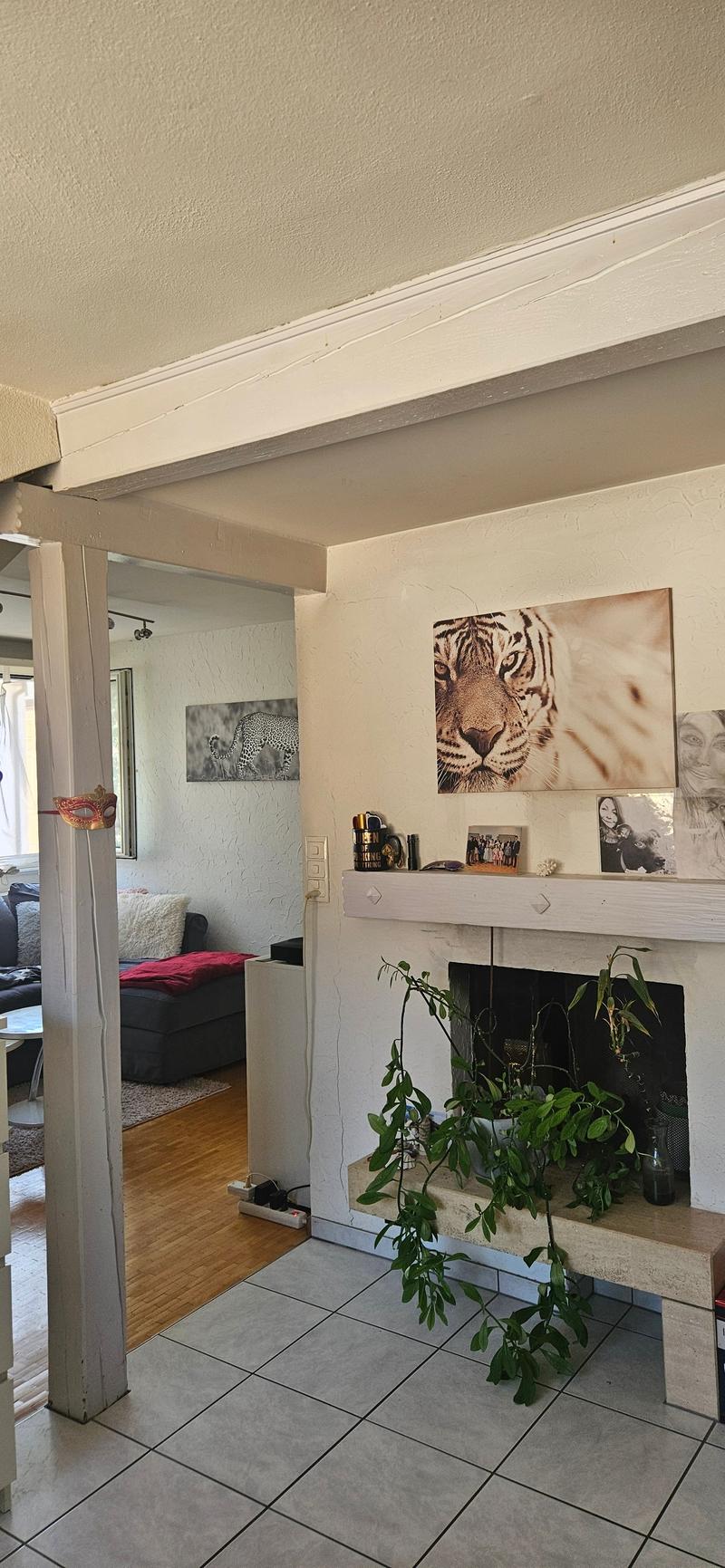 Helle und geräumige 1.5-Zimmer-Wohnung in St. Gallen (5)
