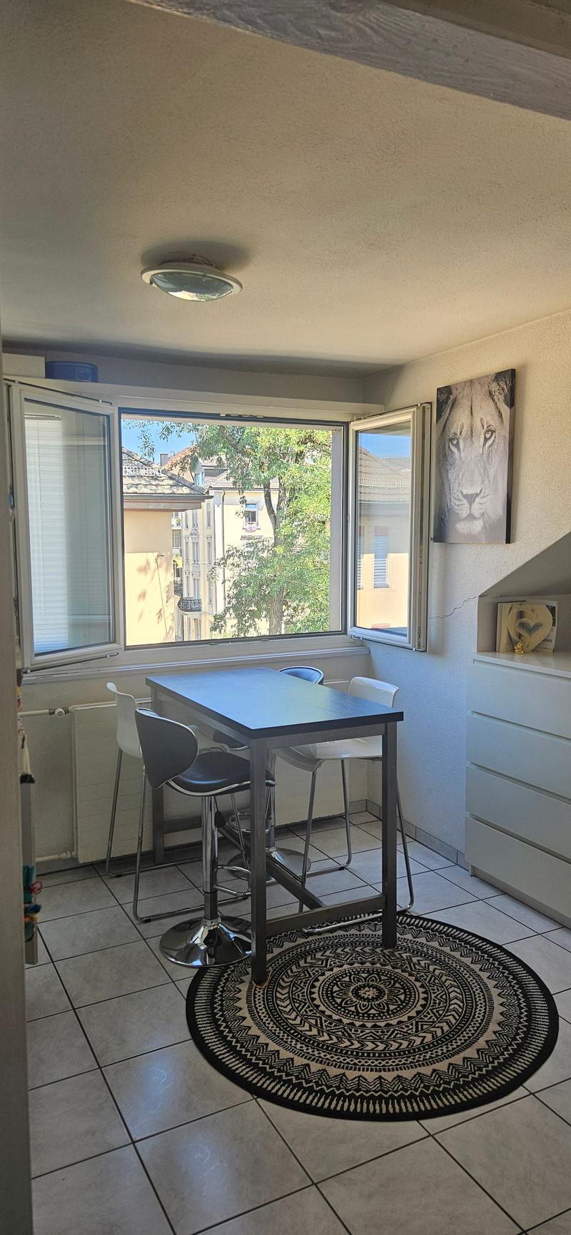 Helle und geräumige 1.5-Zimmer-Wohnung in St. Gallen (4)