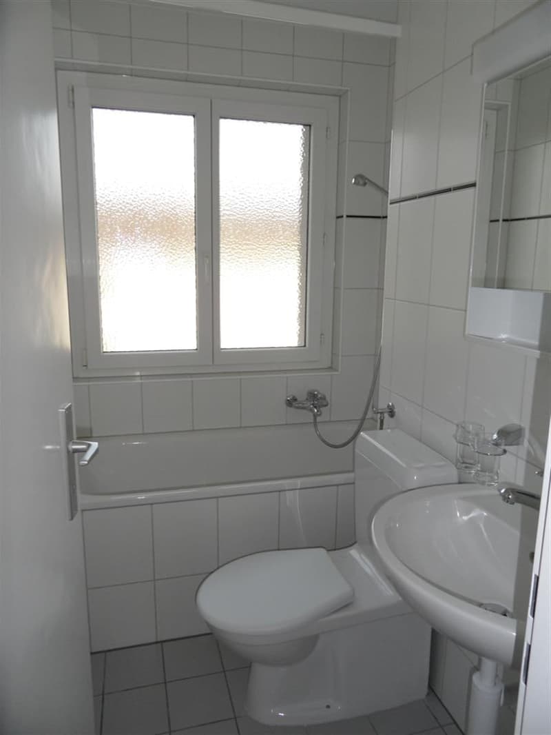 Schöne 3 Zimmer-Wohnung mit sonnigem Balkon (3)