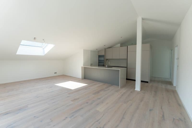 Helle, neue luxuriöse 3½ Zimmer Wohnung (E7) im DG mit grossem Balkon (7)