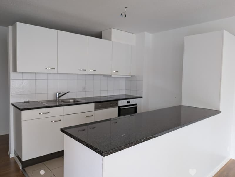 Ein glücklicher Wohnungsstart (3)
