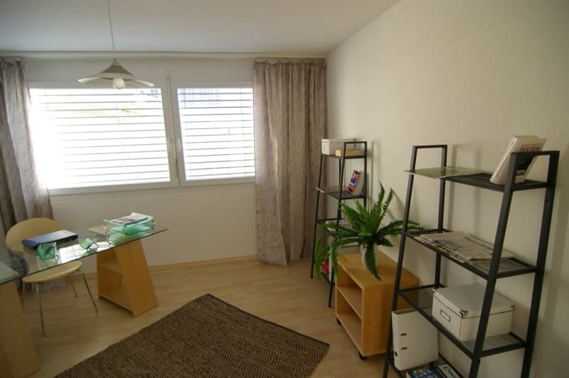 Grosszügige 4.5-Zimmer-Maisonette-Wohnung mit Terrasse und Dachgarten in Winterthur (11)