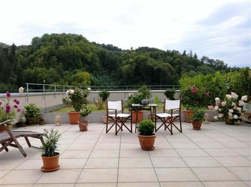 Grosszügige 4.5-Zimmer-Maisonette-Wohnung mit Terrasse und Dachgarten in Winterthur (1)