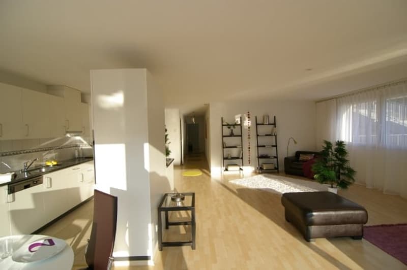 Grosszügige 4.5-Zimmer-Maisonette-Wohnung mit Terrasse und Dachgarten in Winterthur (4)