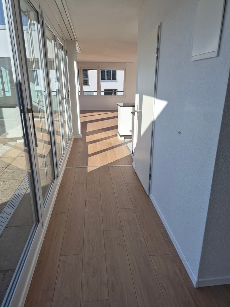 Schöne 2.5-Zimmer-Attikawohnung (3)
