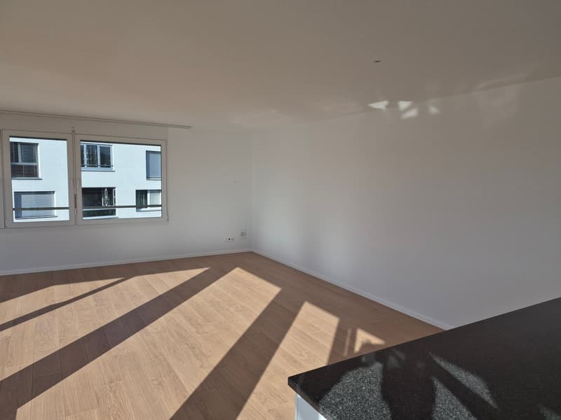 Schöne 2.5-Zimmer-Attikawohnung (5)