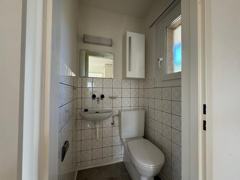 Charmante 4.5-Zimmer-Dachwohnung in Oetwil an der Limmat (16)