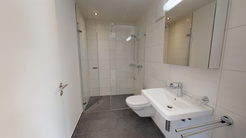 Charmante 3.5-Zimmer-Dachwohnung in Menziken – modern, ruhig und sonnig (6)