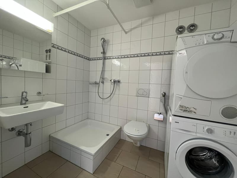 Helle 3.5-Zimmer-Terrassenwohnung im 6. OG mit traumhafter Aussicht in Winterthur (4)