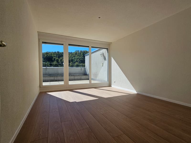Helle 2.5-Zimmer-Terrassenwohnung im 7. OG mit traumhaftem Ausblick in Winterthur (5)