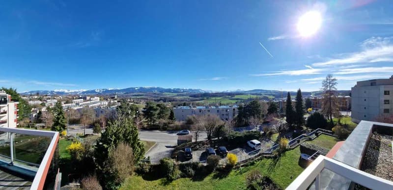 Un attique d'exception avec vue panoramique (7)