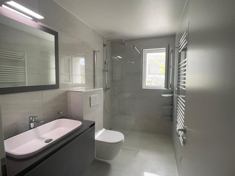 Spacieux 3.5 avec grand jardin (6)