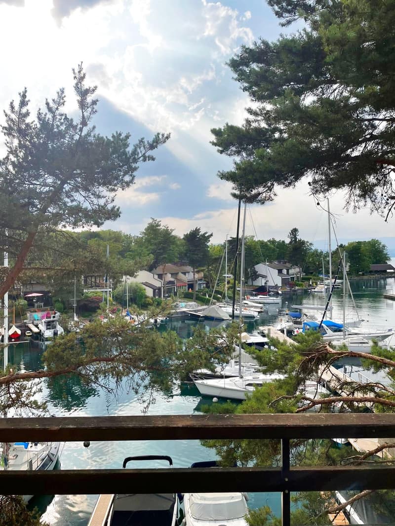 Duplex en dernier étage rénové à Port Ripaille (4)