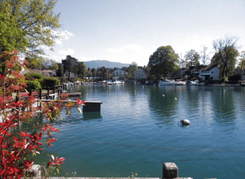 Duplex en dernier étage rénové à Port Ripaille (5)