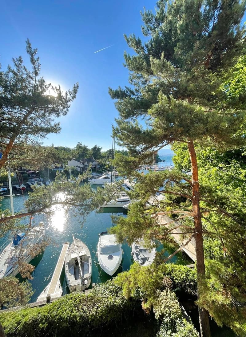 Duplex en dernier étage rénové à Port Ripaille (1)