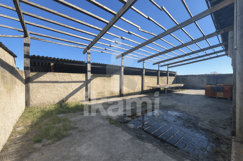 MAISON/EXPLOITATION 15 HECTARES LENS LESTANG (13)