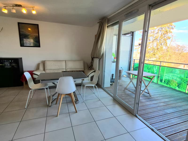 Superbe appartement T4 avec terrasse et vue Mont-Blanc Proche frontière (2)