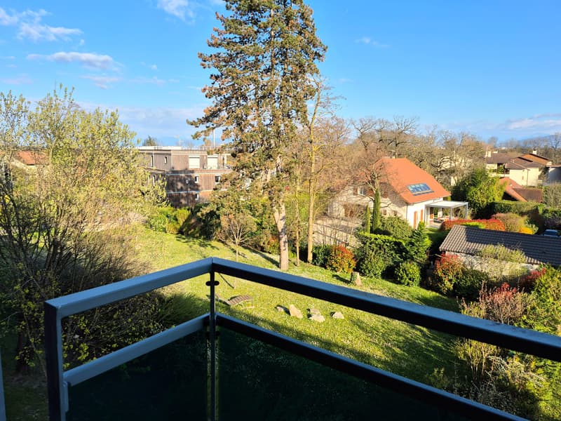 Superbe appartement T4 avec terrasse et vue Mont-Blanc Proche frontière (11)