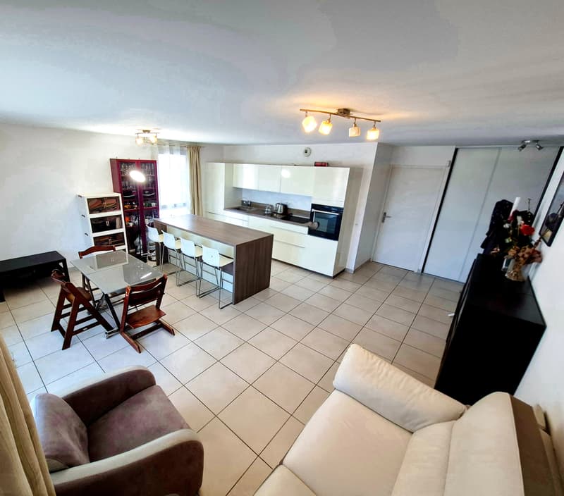 Superbe appartement T4 avec terrasse et vue Mont-Blanc Proche frontière (13)