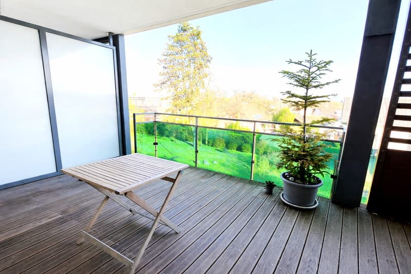 Superbe appartement T4 avec terrasse et vue Mont-Blanc Proche frontière (5)